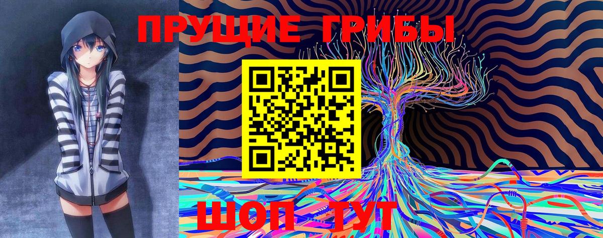 Чернушка  Галлюциногенные грибы Psilocybine cubensis  Вход с VPN  Псилоцибиновые грибы мицелий 